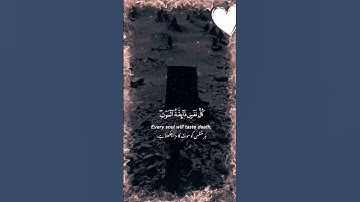 الدال على الخير كفاعله 🔁 قراءة ندية تخشع لها القلوب #quran #قران #تلاوة #قران_كريم #راحة_نفسية