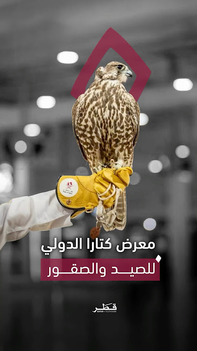 إقبال واسع على النسخة التاسعة من معرض كتارا الدولي للصيد والصقور 