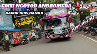 Download lagu NGOYOD ANDROMEDA PULANG DARI PURWAKARTA GUYS!! GACOR PARAHH🤩🤩‼️