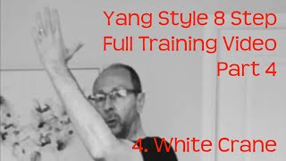 Yang Style 8 Step Full Training Video Part 4 4. White Crane with Sifu Paul Nathan