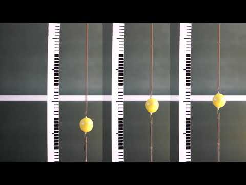 Csatolt rezgések - Coupled oscillations - YouTube