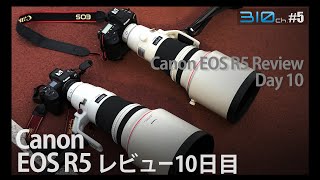 Canon EOS R5 レビュー動画 10日目 / Canon EOS R5 Review Day 10【310ch. By Hayashida】#5