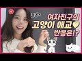 고양이 분장하고 애교부리기❤(애교여친VS무뚝뚝한 남친 3탄)