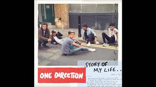 One Direction - Story of My Life Vocals Only
