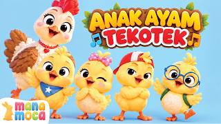 Download lagu Lagu Anak Ayam | Lagu Tekotek Kotek Anak Ayam | Lagu Anak Indonesia