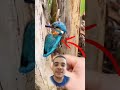 سبحان الله نقار الخشب سبحان الله نقار الخشب