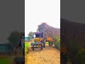 Thindi tractor lover ✌️💪😈#tacterlover #trendingshorts #farming #djlove