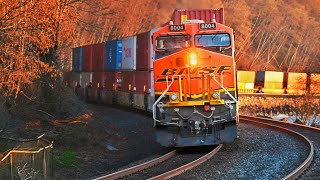 A Late February Day of Trains at Carkeek Park