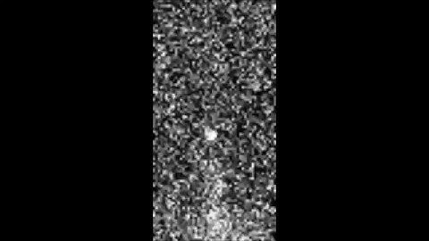 Single-particle imaging reveals intraflagellar transport–independent transport and accumulation