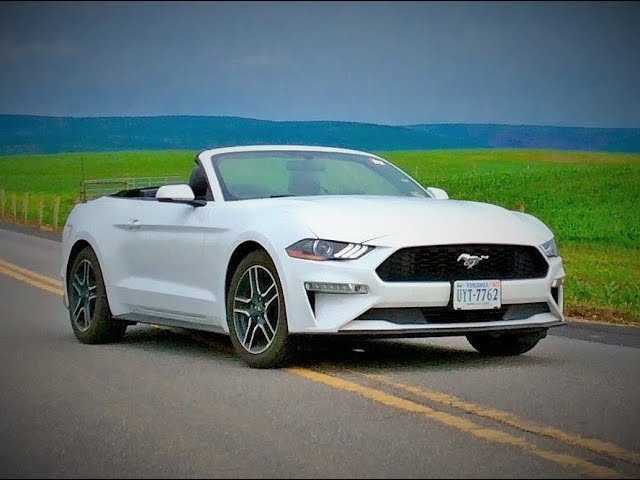 2020 Ford Mustang Convertible Premium Ecoboost Automatic POV