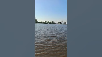 hồ Dầu Tiếng tiếp tục xả nước những đám ruộng người dân bị ảnh hưởng ngập không xạ lúa được