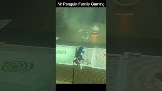 Mr Penguin Plays Shrine Baseball! ⚾🧩 #Zelda #TearsOfTheKingdom #MrPenguin #Gaming #ZeldaTOTK