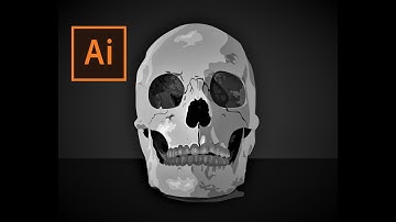 Vector art | Skull | Adobe Illustrator