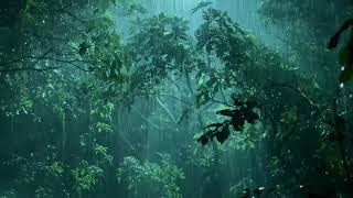 Fall Asleep Fast within 3 Minutes with Heavy Rainstorm & Resounding Thunder in Foggy Forest at Night