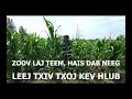 LEEJ TXIV TXOJ KEV HLUB
