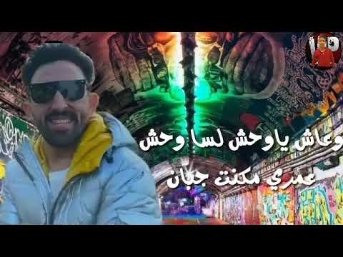 حالات واتس مهرجان انا سيرتي بتجنن دوله محمد الفنان