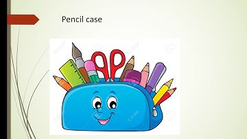 Connect plus unit 3 page 30  Primary 1