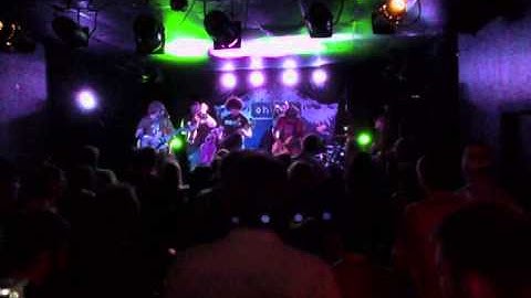 Pigeons Playing Ping Pong - 