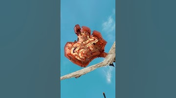 The BEST Gorilla Tag map...  #gorillatag #vr #gtag