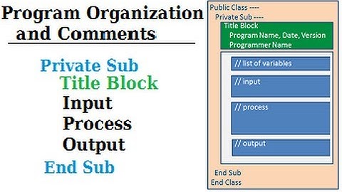 Visual Basic Program Organization and Comments