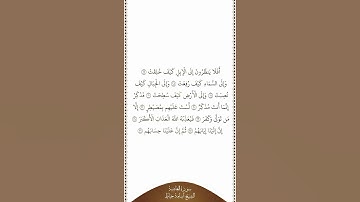تلاوة في دقيقة | سورة الغاشية | الآيات ١٧ - ٢٦ | الشيخ أسامة خياط