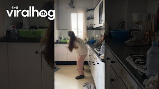 Pigeons Get Stuck In Kitchen || Viralhog