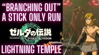 "BRANCHING OUT" A STICK ONLY RUN : LIGHTNING TEMPLE : TEARS OF THE KINGDOM screenshot 4
