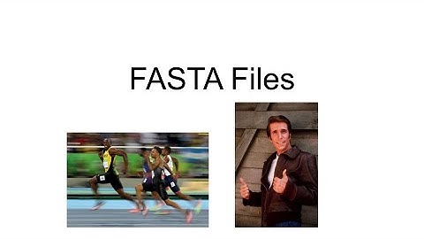 What is a FASTA file?