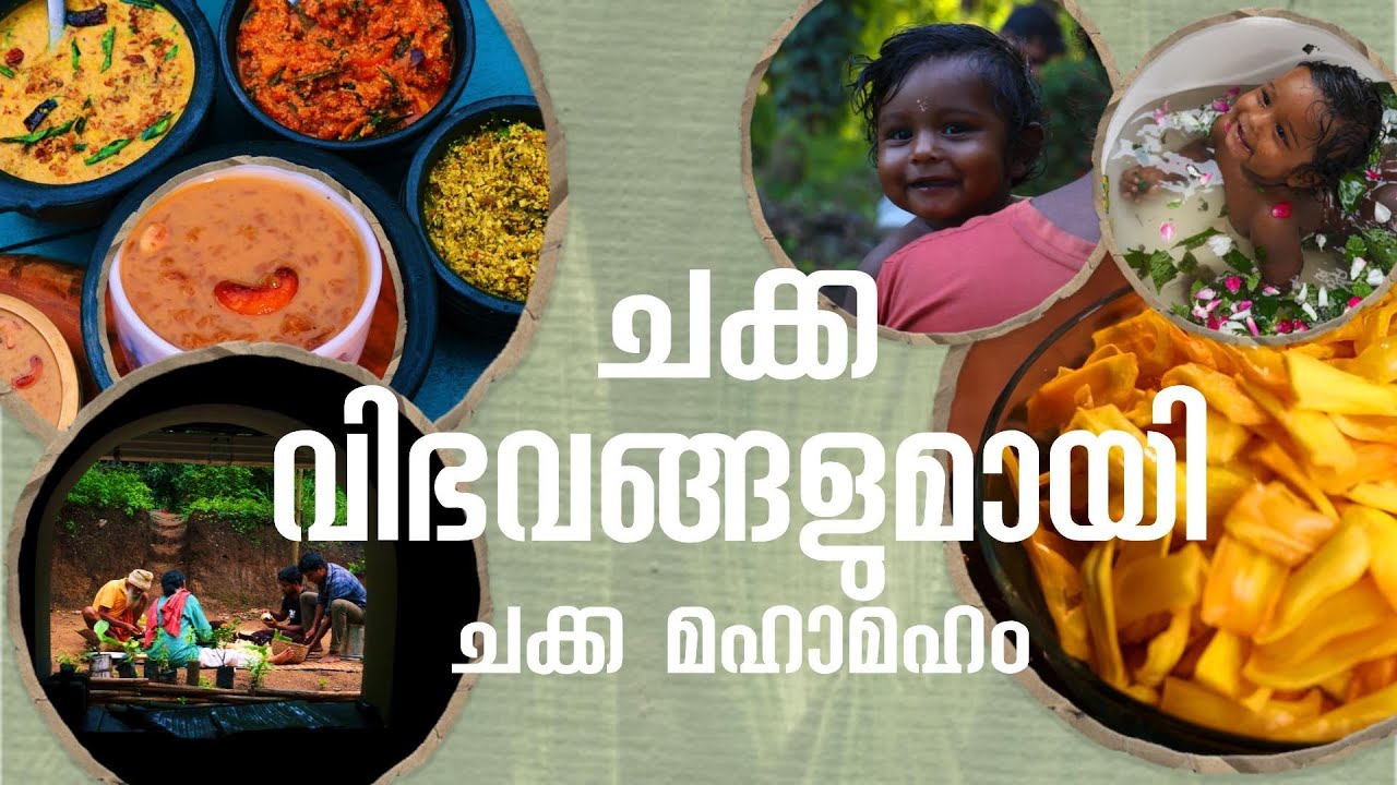 ചക്ക വിഭവങ്ങളുമായി ചക്ക മഹാമഹം | Jackfruit Recipes | Sarang Family | Dakshina