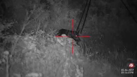 ATN X Sight II Firmware Update