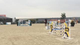 Tokajer GRAND PRIX ** Michałowice