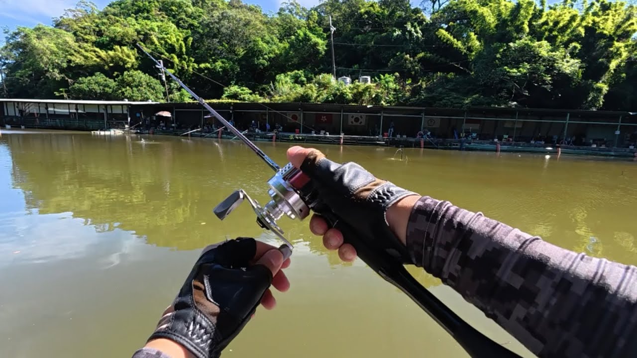 鱸釣組合-Shimano POISON GLORIOUS 161L-BFS + Shimano CALCUTTA