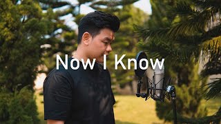 Now I Know - Willy Anggawinata (cover)