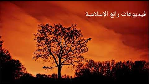 تلاوة جميلة تطمئن بها الروح حقاً لاتوصف القارئ احمد عادل عبدالله سورة هود