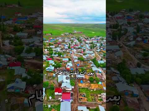 قالت العرب قديما إذا تفرقت الغنم قادتها العنز الجرباء