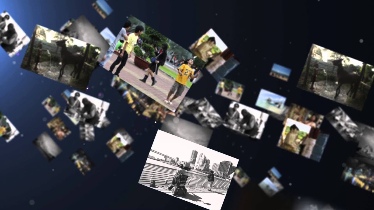 Illegal Night Bluza Exclusive Classic 3D Grey