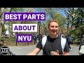 The BEST Parts About NYU - New York University - Campus Interviews (2018) LTU