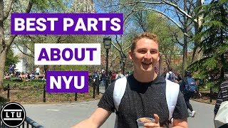 The BEST Parts About NYU  New York University  Campus Interviews  LTU