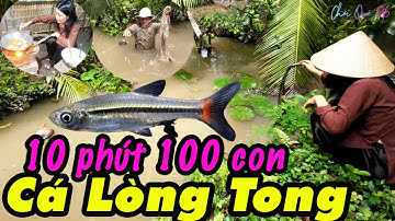 Không ngờ lại nhiều cá quá, giăng lưới cá lòng tong chiên bột cùng buổi cơm chiều đạm bạc