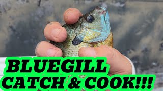 Time To CATCH And COOK Some BLUEGILL!