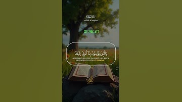 تلاوة هادئة تريح القلب ❤️ للقارئ محمد وجيه
