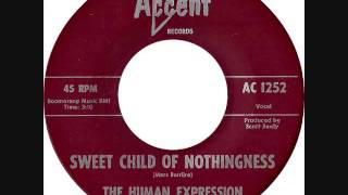 The Human Expression - Sweet child of nothingness