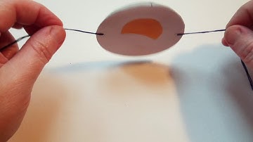 Thaumatrope Examples Art2Science Persistence of Vision