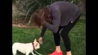 VID-20150925-WA0000.mp4