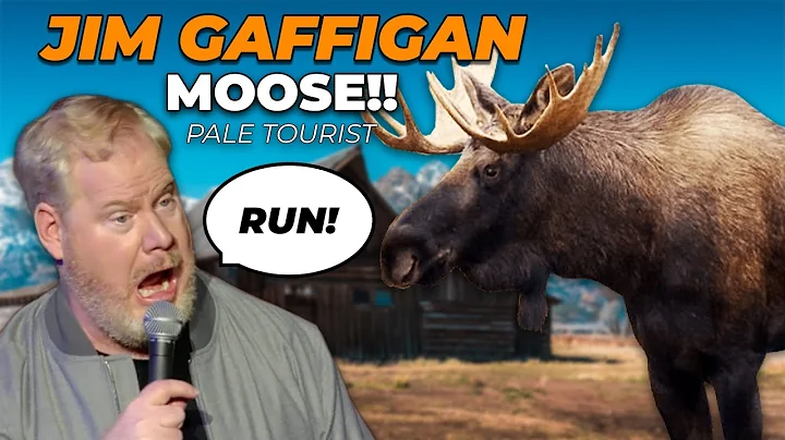 "I saw a MOOOSE!" The Pale Tourist (NEW MATERIAL) Jim Gaffigan Stand Up
