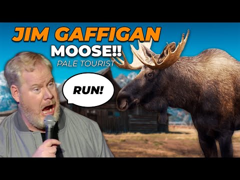 "I saw a MOOOSE!" The Pale Tourist (NEW MATERIAL) Jim Gaffigan Stand Up