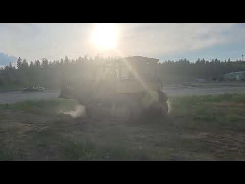 6c dunks