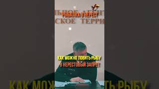 Про леску и крючок в период нерестового запрета Рыбалка Рыбоохрана и Нерест #shorts