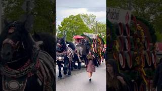🎉 Regensburger Maidult 🎡📍 Regensburg, Germany📅 Thursday, May 14 – Sunday, May 31, 2026