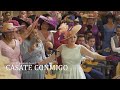 Cásate Conmigo Flamenco Cover de Silvestre Dangond & Nicky Jam | Boda Fran Ocaña
